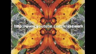 Acid Horse - No Name, No Slogan