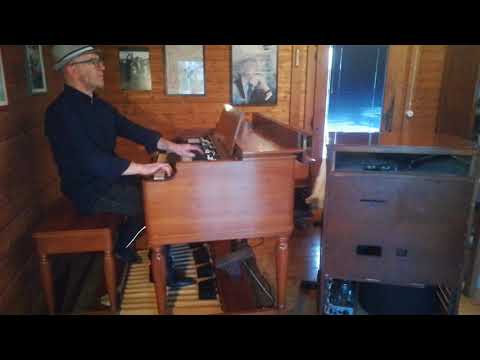 Vivaldi l'Inverno I mov. E. Dario Hammond