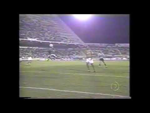 Guarani 0 x 2 Botafogo - Campeonato Brasileiro 2004