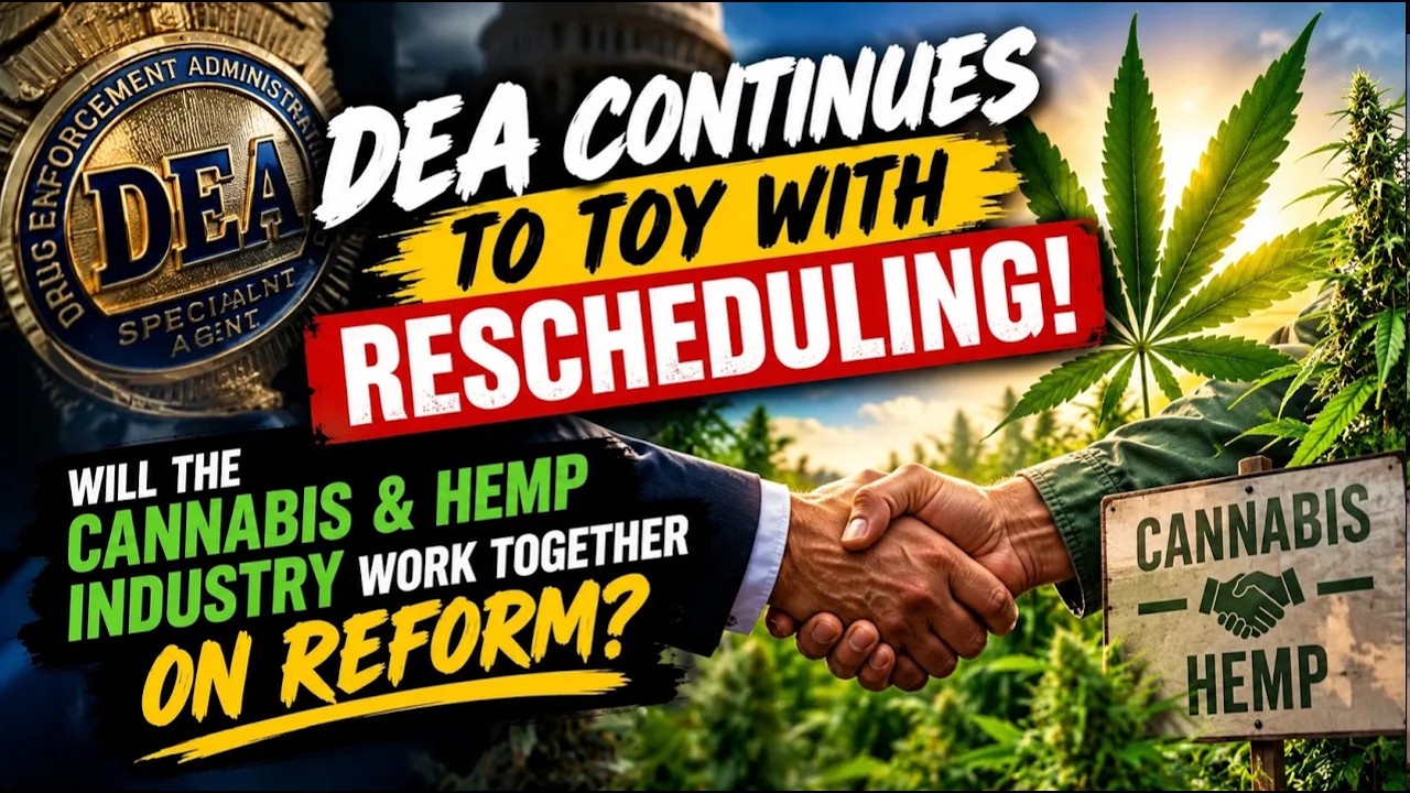 Video Thumbnail