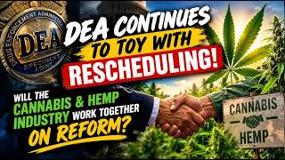 DEA continues to toy with rescheduling! Will cannabis and hemp industry's work together on reform?