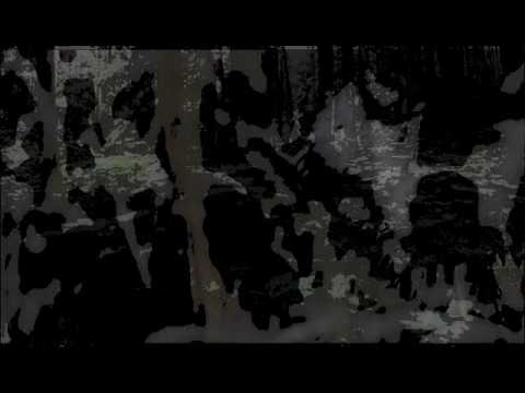 Invader - INVADER - Invaders Raid