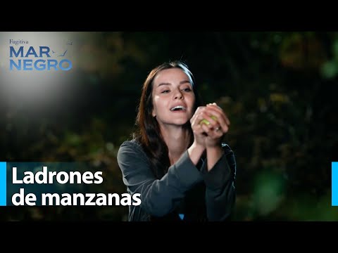 ¡Casi les disparan! - Mar Negro Capítulo 175 | Fugitiva