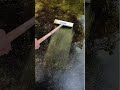 Removing Algae From Floor Shortsfeed Viral