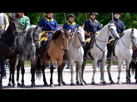 Bohus Elfsborghs Caroliner Kavalleri