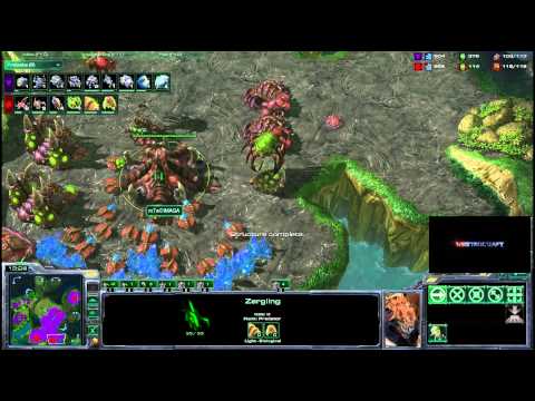 HDWT Dimaga v QxC g2