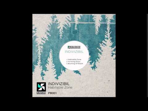 Indivizibil - Blurring of Black (Original Mix) [Private Business.]