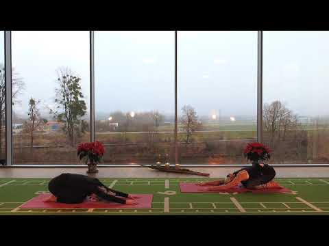 YIN YOGA mit Johanna & Heike - ONLINE FITNESS - ONLINE KURSE