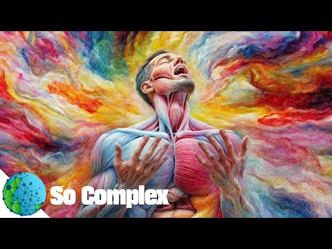 The Stunning Complexity of the Human Body | Creation Connection Ep. 9