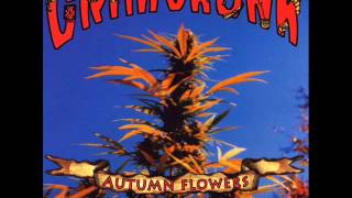 Grim Skunk - Camptown Lady (demo)