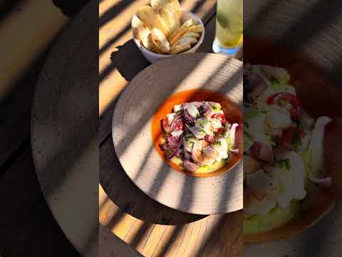 Vídeo Hotel Gaia 4