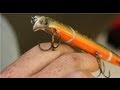 FISH HOOK IN FINGER! 234lbs RED SNAPPER ...