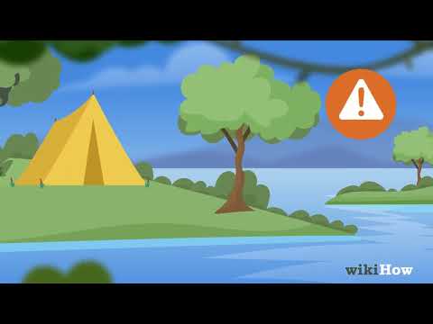 How to Pee Outside for Women: Best Spots & Cleanliness Tips