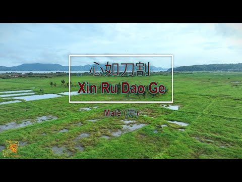 心如刀割 (Xin Ru Dao Ge) Male Version - Karaoke Mandarin