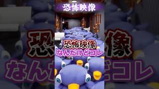 恐怖映像 #vtuber #ゲーム実況 #horrorgaming