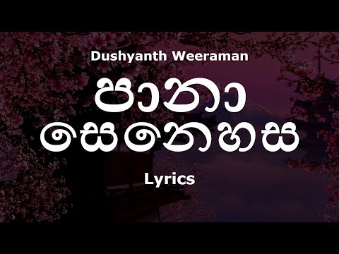 Dushyanth Weeraman - පානා සෙනෙහස / Paana Senehasa (Lyrics)