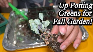 Fall Gardening Made EASY with Brassicas
