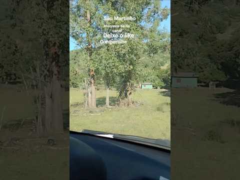 chegando no sítio,# são Martinho