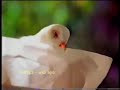 Iklan Tissue Paseo Burung 1998
