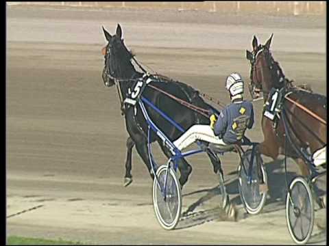 Trotto 28/10/2016 - 3ª corsa