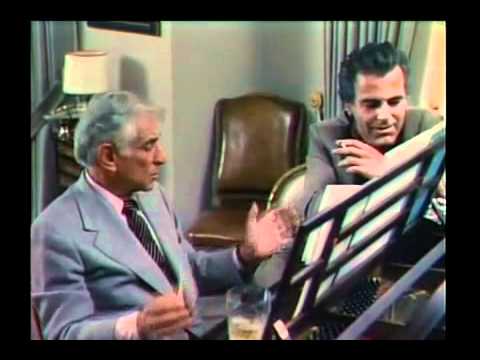 Leonard Bernstein's Introduction on Beethoven's Symphony No. 7 (1978 Wien)
