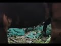 Horse Meeting Time Horse