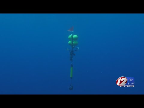 Device developed at URI used to record video of deep-sea sharks