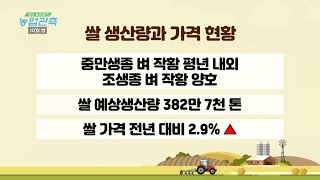 [영농길라잡이 농업관측] 10월 쌀
