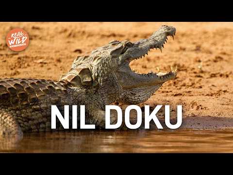 Ungezähmter Nil: Der mächtigste Fluss der Welt! XXL Doku