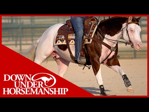 Clinton Anderson Presents: Titan a Legend in the Making, Lesson 10, Part 2 - Downunder Horsemanship