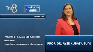 Paratiroid hormonu Nedir ? | Prof. Dr. Ayşe Kubat Üzüm | 8'de Sağlık