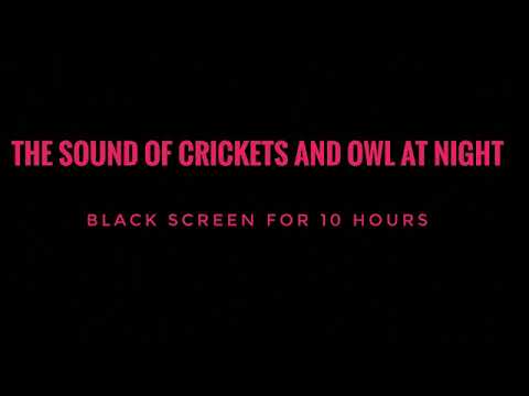 the Sound of crickets and owls at night II 10 hours II Relaxation II good sleep