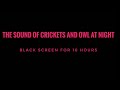 The Sound Of Crickets And Owls At Night II 10 Hours II Relaxation II Good Sleep