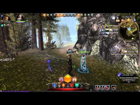 Neverwinter Companion Guide #2 The Healer