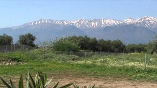 Barb Wire Dolls "Where The Mountains Drink"