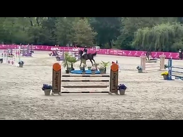 jument 8 ans GP 125 AM ELITE & championne France 25