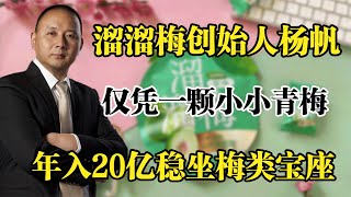 溜溜梅创始人杨帆，仅凭一颗小小青梅，年入20亿稳坐梅类零食宝座！