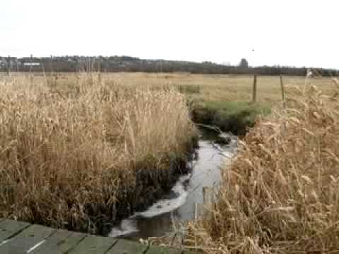 download lagu mp3 mp4 dalen Aalborg, download mp3 dalen Aalborg free download, download mp3 dalen Aalborg