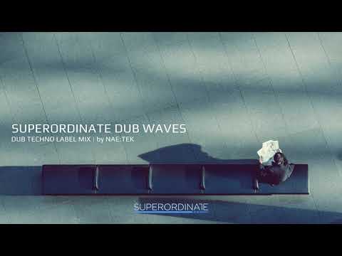 Superordinate Dub Waves | 2021 Dub Techno Label Mix By Nae:Tek