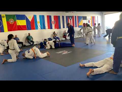 Ryoku Judo Club Clinic with World Champions Driulis Gonzalez and Amarilis Savon