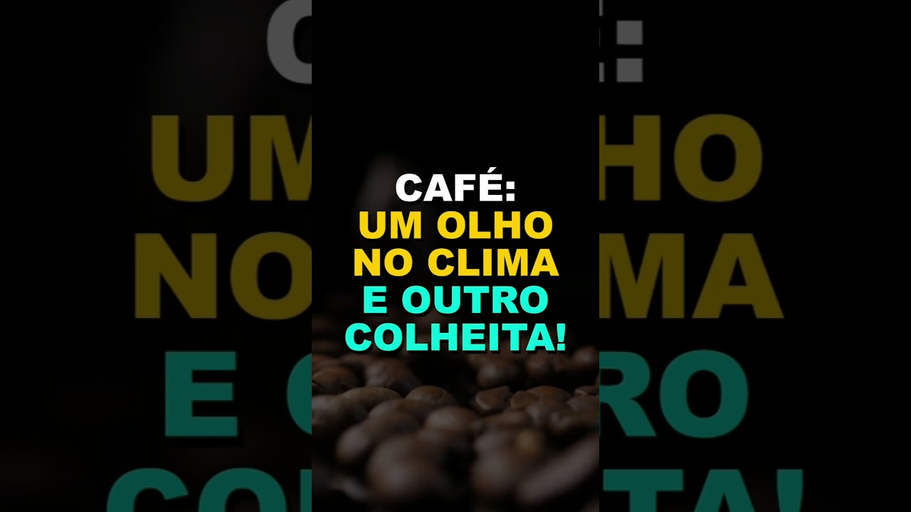 CAFÉ: UM OLHO NO CLIMA OUTRO NA COLHEITA!