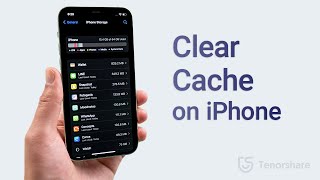 How to Clear Cache on iPhone (6 Ways)