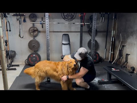 ‘25 Spring Cut: Day 23 (Arms with the pup!)