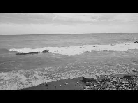 A Covenant of Thorns - Black (Teaser)