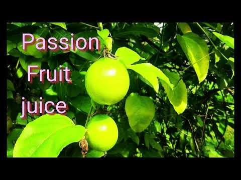 Passion Fruit Juice