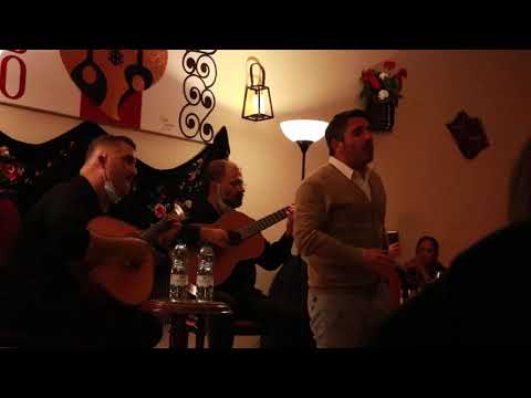 Pedro Moutinho - Rapsódia