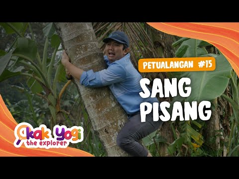 Kak Yogi The Explorer #15 : Sang Pisang