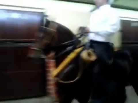 ANDRES CARDENAS Y SU RAFAGA DE SAN PEDRO