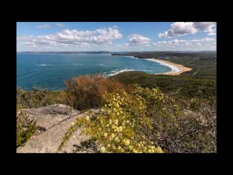 Memehusa- A Rilisigu