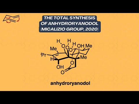 Synthesis Workshop: Synthesis of Anhydroryanodol (Episode 38)